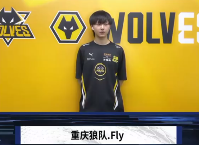 与贯穿式鳍